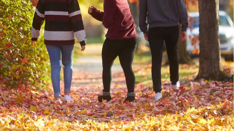 UWL employees tracked more steps than any school in the UW System.
Read more →