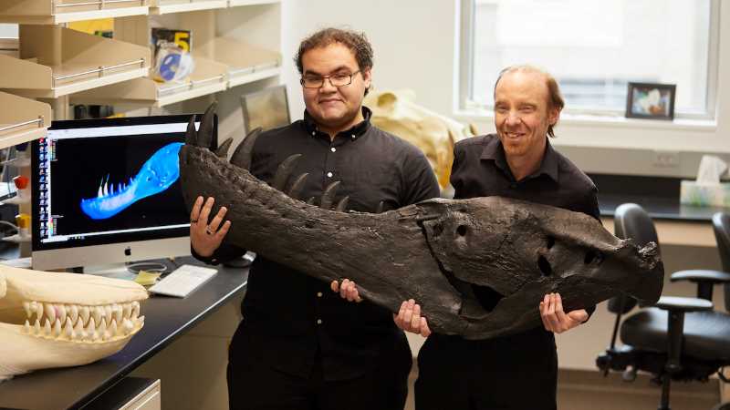 UW-La Crosse graduate student Andre Rowe and UWL Associate Professor Eric Snively hold a cast of the left lower jaw of a T. rex. The image on the computer shows how a killing bite would affect the jaw. Snively’s research enlists students with skills useful for many careers in science, health, and engineering. UWL students Kaitlyn Nicholls and research associate Gail Gillis were also essential to the analysis.
Read more →
