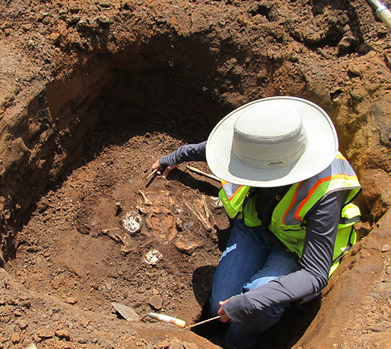 Kathy Stevenson excavating