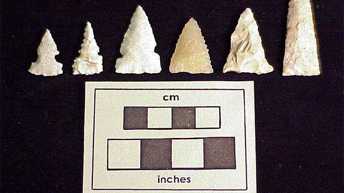 Arrow tips made after 1000 AD from the Mississippi Valley Archaeology Center collection. MVAC staff will share artifacts like this recovered from local excavations during the annual Artifact Show Saturday, March 4. 
Read more →
