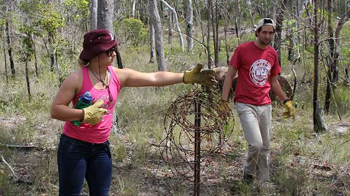 UWL student Haylie Syverson removing barbed wire, which can entrap native wildlife, during a service-learning project with the Australia Wildlife Conservancy in Queensland, Australia. 
Read more →
