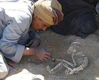 “Baboon burial” from an archaelogical dig at Hierakonpolis.
Read more →
