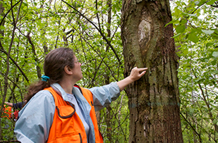 Baines pointing at tree.