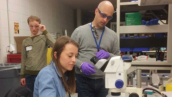 Undergraduate student researcher Madeline Brunner and Timothy Davie, under the guidance of Professor Todd Weaver, conducting research at Argonne National Laboratory, the largest national laboratory in the Midwest. Six UWL biochemistry students had an opportunity to conduct research and tour the lab in April.
Read more →
