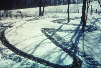 birdeffigyWeb bird effigy mound