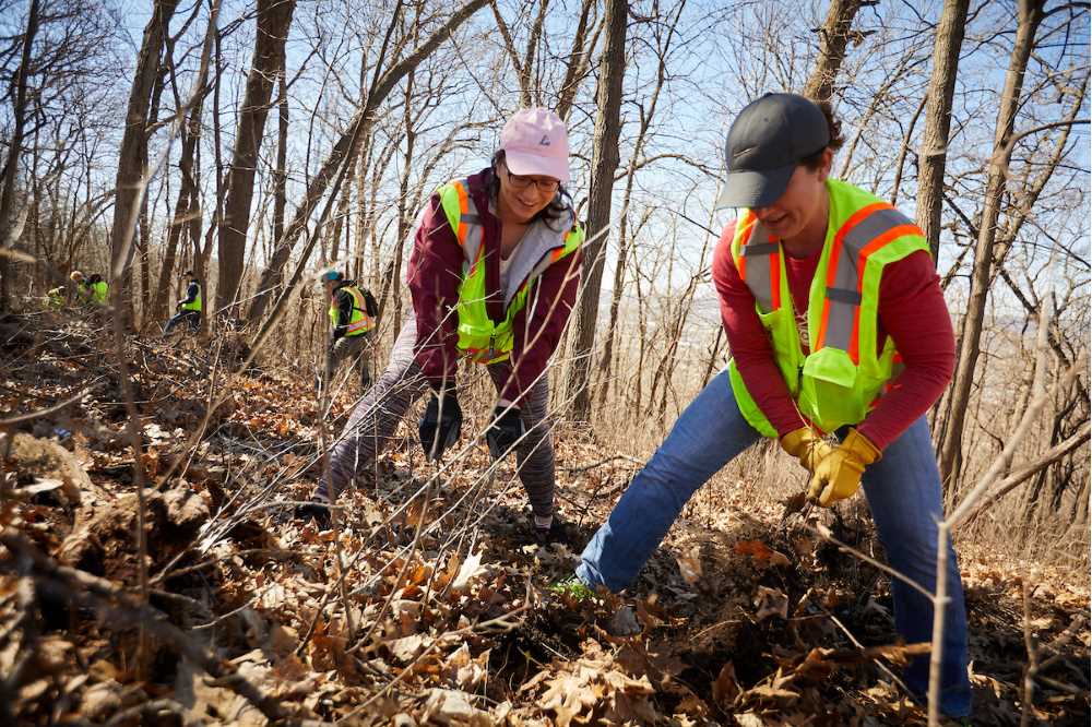 UWL junior and biology major Ashley Lardy works with UWL faculty member Faye Ellis to uproot Buckthorn as part of an effort to clean up Grandad Bluff on Saturday, April 20. A total of 135 volunteers turned out — 26 were UWL students.
Read more →