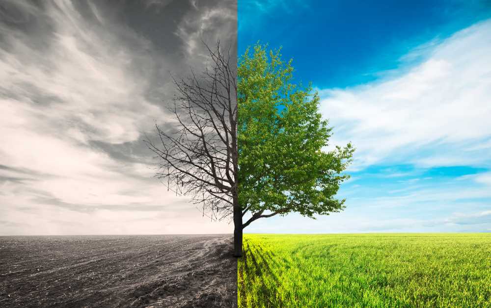 Climate change is the topic of an upcoming presentation at UWL.
Read more →
