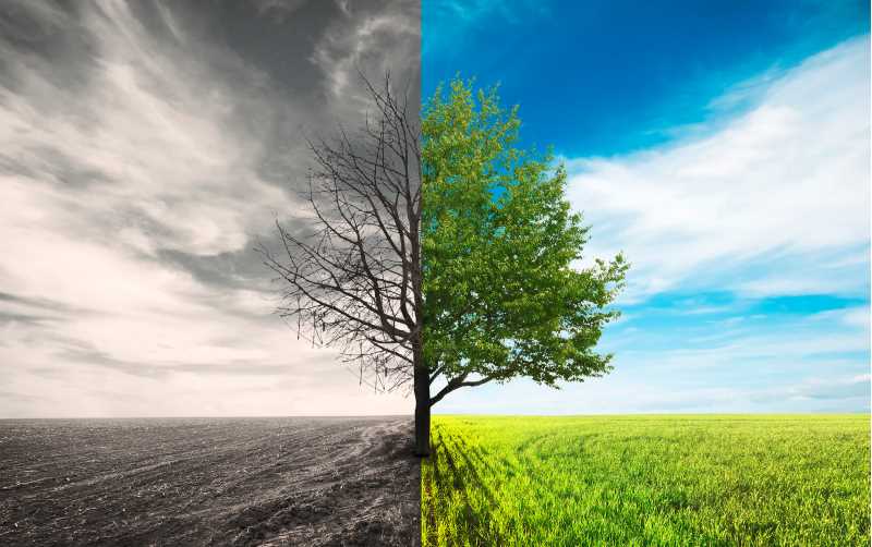 Climate change is the topic of an upcoming presentation at UWL.
Read more →
