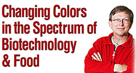Changing Colors artwork. 