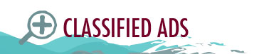 ClassifiedAds ClassifiedAds artwork.