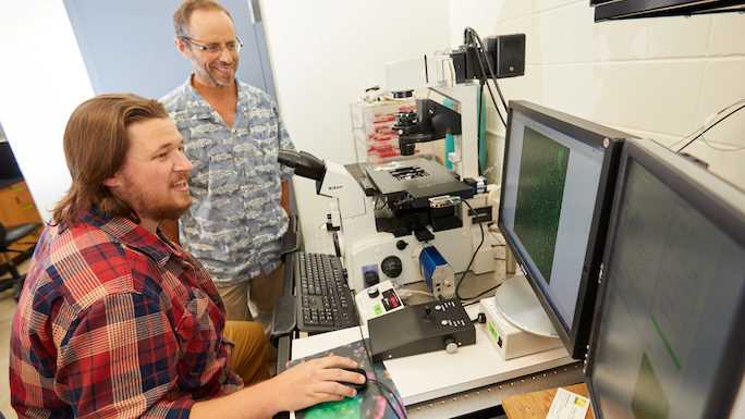 Tanner Tenpas is one of four UWL students working in Scott Cooper’s lab this summer with support from a National Institutes of Health grant.  Here he practices advanced microscopy techniques using a confocal microscope in the Howard Imaging Center at UWL. Cooper looks on.
Read more →