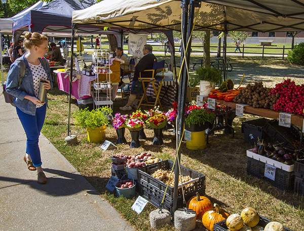 Image of a student walking through a farmer's market