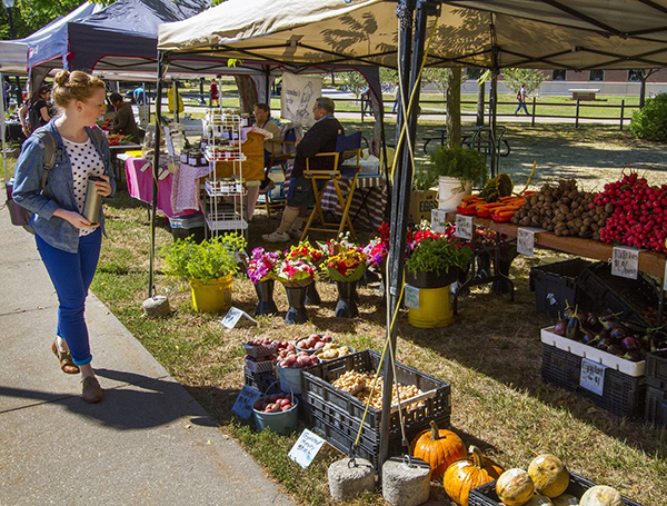 Image of a student walking through a farmer's market
