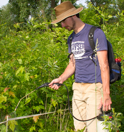 FenceSpray3541_400 Ben Cogger, a graduate student, sprays fence with natural chemicals.