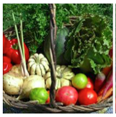 Vegetables.