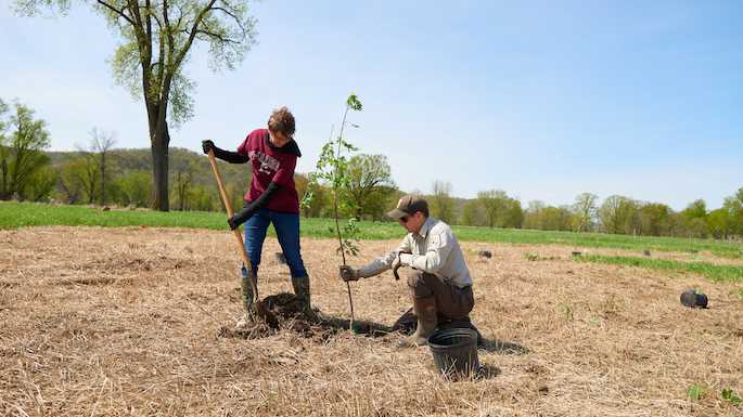 UWL Professor Meredith Thomsen plants a tree at a reforestation site near La Crescent, Minnesota with help from UWL graduate student Bill Kiser. Thomsen works with undergraduate and graduate student researchers to design her experiments, collect data and analyze and present results. She also uses her experiments and results for hands-on experiences in one of the classes she teaches.
Read more →
