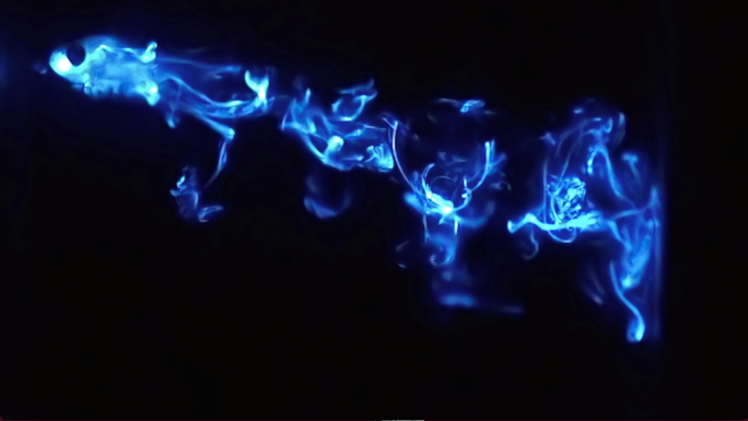 When a fish consumes an ostracod, the ostracod emits large amounts of luminescence in what is thought to be an anti-predator response. The light in this image is produced by an ostracod as it is being chewed by a fish.
Read more →