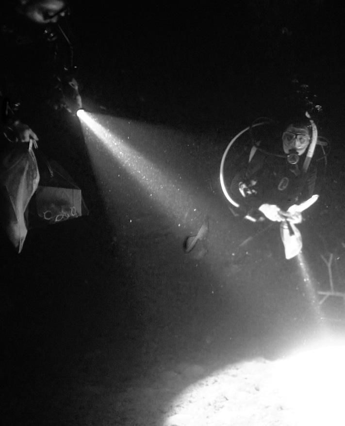 Image of Gretchen Gerrish under water in snorkel suit. 