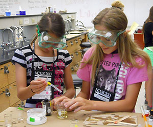 Girls performing lab test.