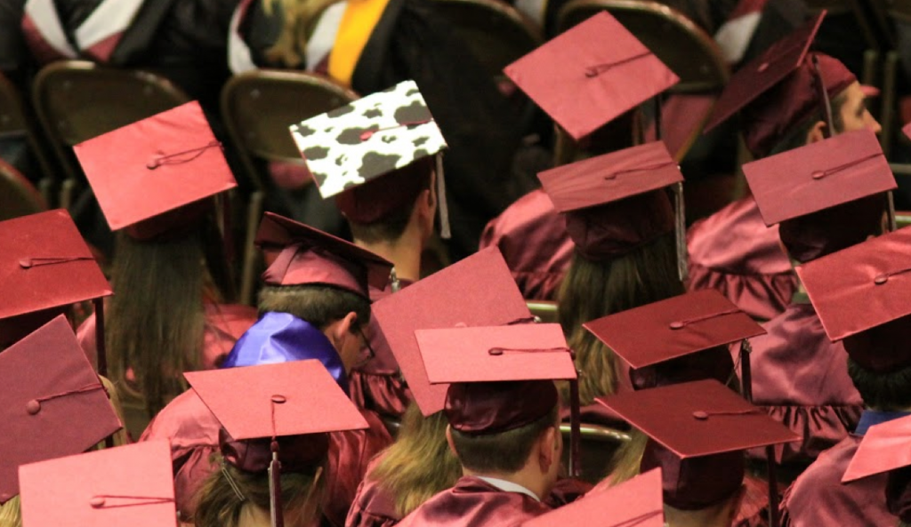 Image of graduation hats from the back - one has fabric attached to it with a cow spot pattern.