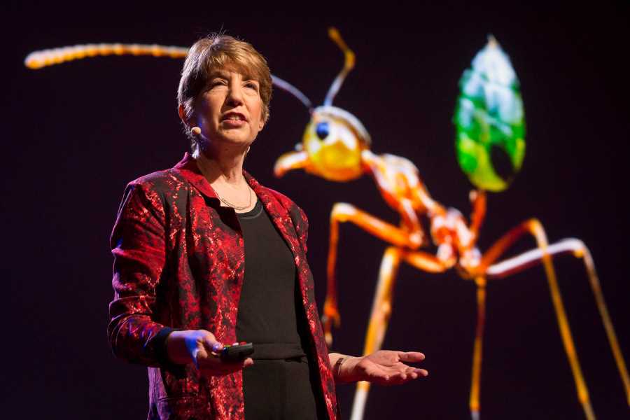 Marlene Zuk, a professor in the Department of Ecology, Evolution and Behavior at the University of Minnesota, is this year’s Warner Memorial Lecture speaker at UWL.
Read more →
