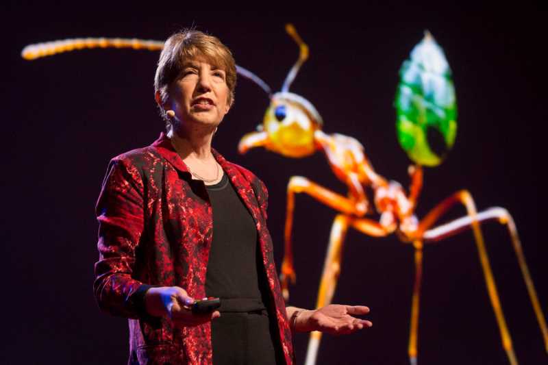 Marlene Zuk, a professor in the Department of Ecology, Evolution and Behavior at the University of Minnesota, is this year’s Warner Memorial Lecture speaker at UWL.
Read more →
