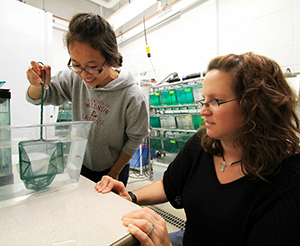 UW-L student Yer Lor with net in hand, removing small fish from a tank. Professor Tisha King-Heiden watches.