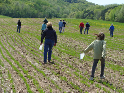 MVAC field survey
