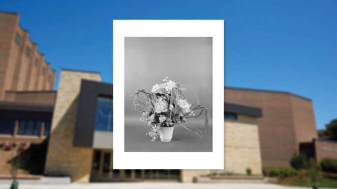 “Pao Houa Her: My Mother’s Flowers” opens the 2018-19 University Gallery season, running Sept. 6-27. Regular gallery hours are noon-8 p.m. Mondays through Thursdays, noon-5 p.m. Fridays and Saturdays, and by appointment/during events in Toland Theatre.
Read more →
