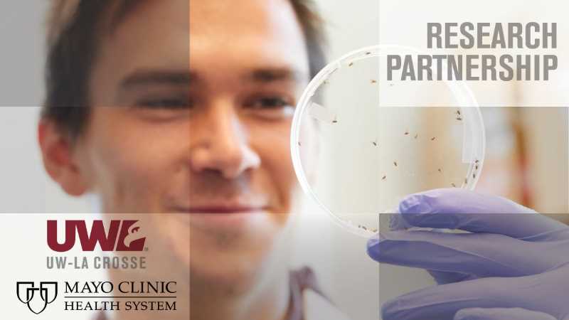 The Mayo Clinic Health System and UWL agreement aims to enable researchers at the two institutions to work together and prepare the next generation of scientists, innovators and health care providers.
Read more →