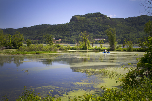 La Crosse River Marsh