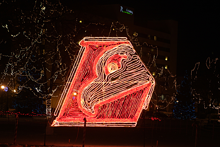 UW-La Crosse Eagle lighting sculpture at Rotary Lights.