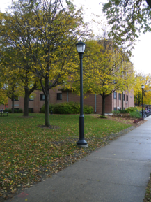 Screen shot 2012-11-09 at 3.08.51 PM Lamposts on campus sidewalks.