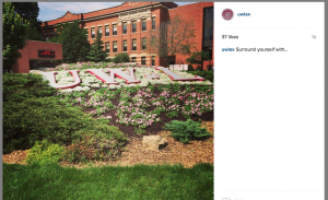 Instagram fans liked the work put in by the grounds crew to make the UW-L sign on campus look incredible.