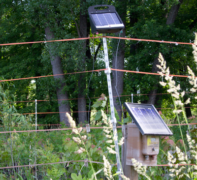 Solar3644_400 Electric fence generated with solar power.