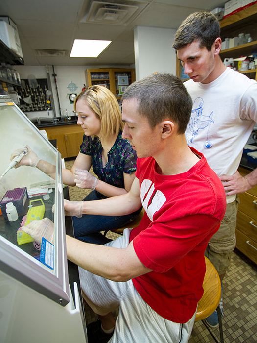 Students process samples in science lab.