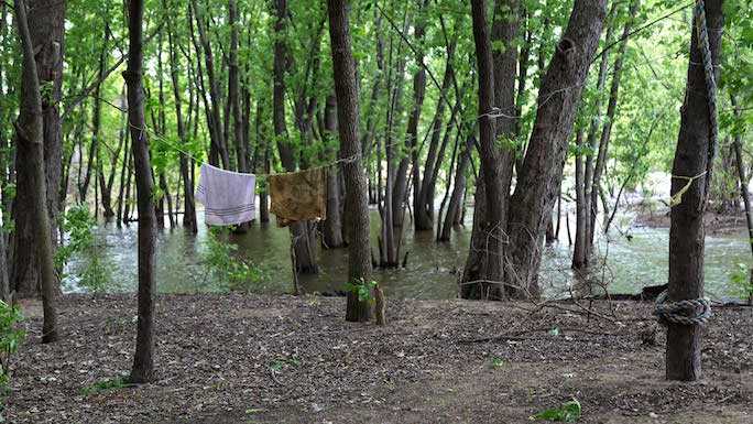 Photo by Linda Levinson.
Read more →
