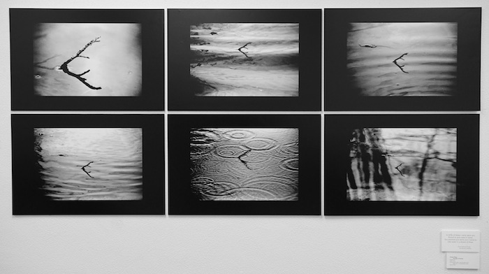 Digital print of a twig on water.