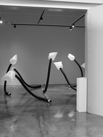 TwistedPairs1