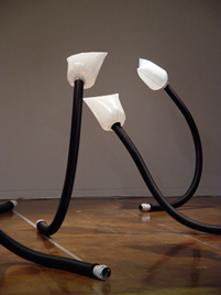 TwistedPairs2