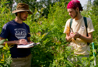 Biology students standing in brush area of forest documenting data. 