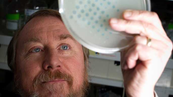 Richard Lenski, John Hannah Distinguished Professor of Microbial Ecology at Michigan State University.
Read more →
