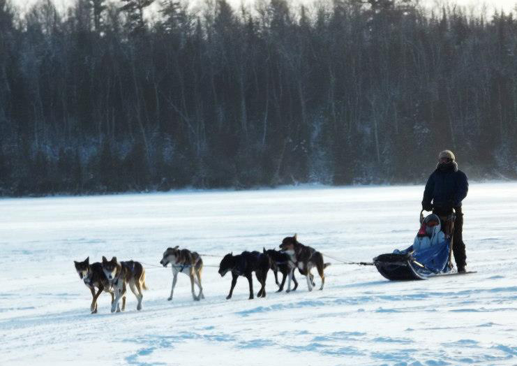 Dog sledding.