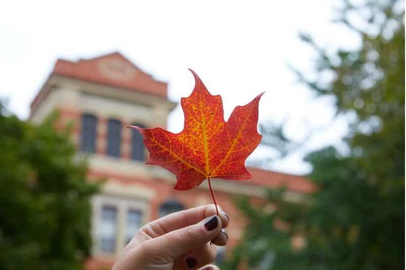 A reddish orange Maple leaf with Graff Main Hall in the background.