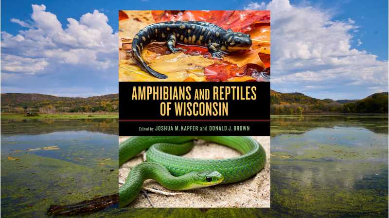 Josh Kapfer, ’99 & ’02, is the co-author and primary editor “Amphibians and Reptiles of Wisconsin,” a new book offering a detailed look at these organisms. Kapfer is a professor and certified wildlife biologist at UW-Whitewater.