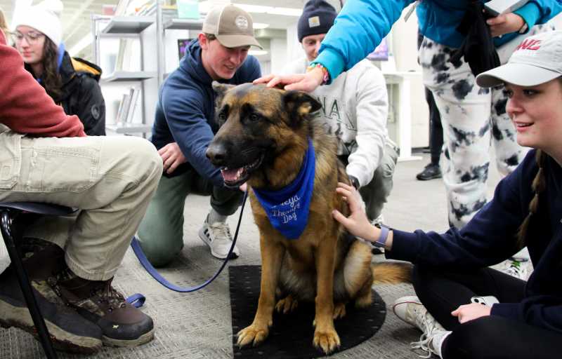 Therapy dogs will be at Murphy Library and the COVE, in the Student Union.