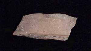 Pot sherd 