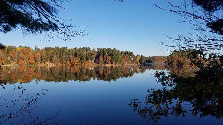 Fall View
