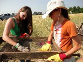 Working in the field