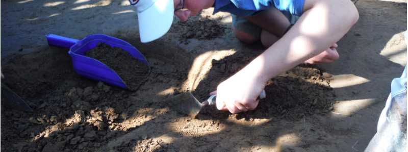 Working in the field